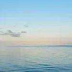 Strandgaard Maasholm