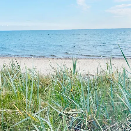Strandgaard Daire