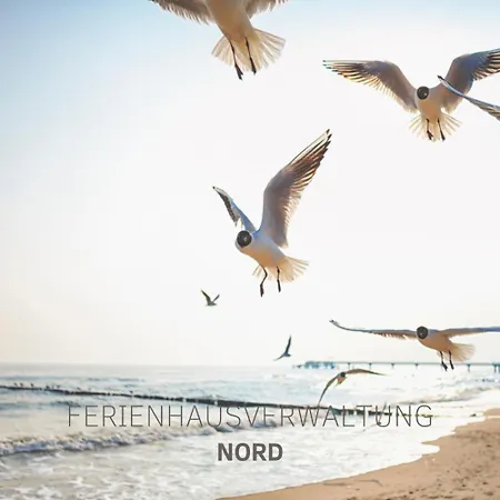 Strandgaard 公寓 马斯霍尔姆