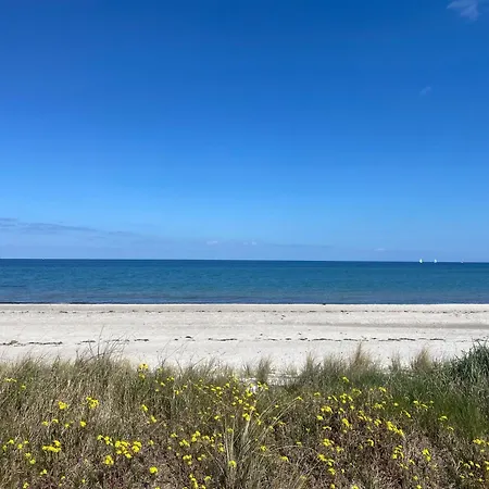 公寓 Strandgaard 马斯霍尔姆